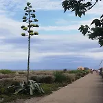 Appartamento Vue Et Montagnes Accès Direct Sans Route *